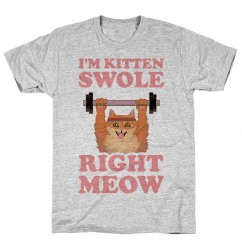 I'm Kitten Swole Right Meow T-Shirt - Gray