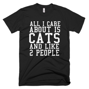 All I Care About Is Cats And Like 2 People T-Shirt - Black