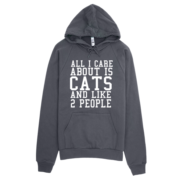 All I Care About Is Cats And Like 2 People Hoodie - Asphalt