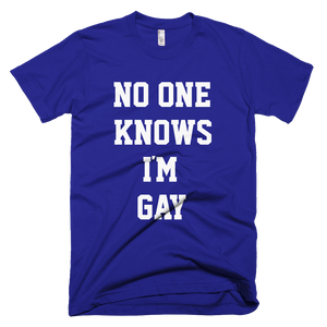 No One Knows I'm Gay T-Shirt - Lapis
